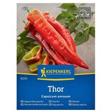 KIEPENKERL Zelenjavna semena Paprika Thor F1 (Capsicum annuum, Čas žetve: Avgust) | Shoptok.si