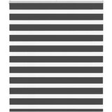 vidaXL idaXL Zebra senčilo črna 120x100 cm tkanina širina 115,9 cm poliester | Shoptok.si