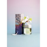 Sister's Aroma Morning in Japan aroma difuzor 100 ml | Shoptok.si