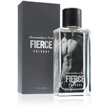 Abercrombie & Fitch Fierce kolonjska voda 100 ml za moške | Shoptok.si