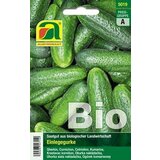 BIO kumare za vlaganje "Vert petit de Paris" Cene
