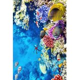 Conceptum Hypnose tepih Wookece166 (60 x 100cm) Cene