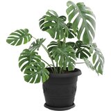  Saksije za biljke 6 pcs Crna Ø 30 x 25 cm Plastika | shoptok.hr