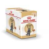 Royal Canin British Shorthair Adult - omaka 12 x 85 g | Shoptok.si