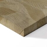  Slika - Botanical Motif with Leaves and Vines in Sand Colors 60x40 Premium Print | shoptok.hr