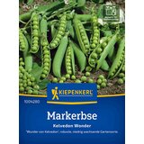 KIEPENKERL Grah "Kelvedon Wonder". - 1 pkt. | Shoptok.si