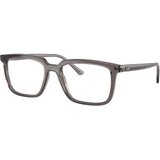 Ray-ban Alain RX7239 8506 - L (54) Cijene