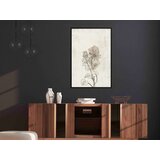  Poster - Life of Plants 20x30 | shoptok.hr