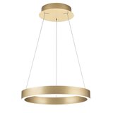  orion- led prigušiva luster na sajli kolk LED/40W/230V 2700/3000/4000K prečnik 40 cm zlatna | Eponuda.com