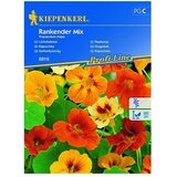 KIEPENKERL Cvetlična semena velikih kapucink (Tropaeolum majus) | Shoptok.si