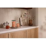 WoodWick Pumpkin Praline dišeča sveča z lesenim stenjem 275 g | Shoptok.si