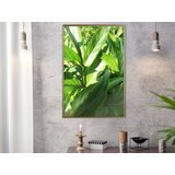  Poster - Somewhere in the Garden 40x60 | shoptok.hr