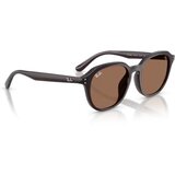 Ray-ban Sončna očala UNISEX 0RB4459D 623173 Kostanjeva | Shoptok.si