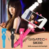 SM300 ROZE