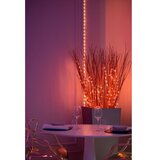 TWINKLY LED traka Dots (Crne boje, Područje uporabe: U zatvorenom, 3 m, Boja svjetla: RGB) | shoptok.hr