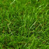 vidaXL umetna trava 1x10 m/30 mm zelena | Shoptok.si