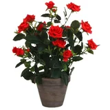  Umjetna biljka (Visina: 33 cm, Crvene boje, Plastika)