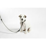 MiaCara Zelen preklopni povodec dolžina 200 cm Modena Grolive 25 mm – | Shoptok.si