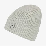 Adidas Asmc beanie Cene