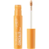 Sublime concealer fluid - 01