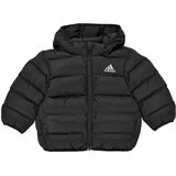 Adidas Puhovke - Črna | Shoptok.si