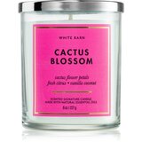 Bath & Body Works Cactus Blossom dišeča sveča 227 g Cene