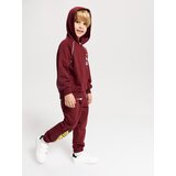 Sinsay Komplet gornjeg dijela trenirke i hlača Hot Wheels | shoptok.hr
