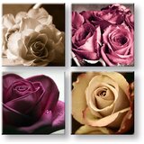  Slike na platnu na platnu kingdom of roses (moderne slike) | ePonuda.com