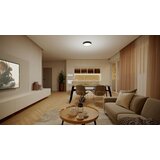 Philips STROPNA LED-SVETILKA HANNO 38.5/38.5/7 cm | Shoptok.si