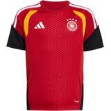 Adidas Funkcionalna majica 'DFB TR JSYY' rdeča Cene