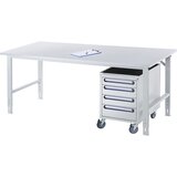 RAU Delovna miza, nastavljiva po višini, 800 - 850 mm, plošča iz nerjavnega jekla, ŠxG 750 x 800 mm | Shoptok.si