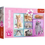 Trefl Baby puzzle mace, 60 kom 17373 Cijene