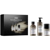L´Oréal Paris Serie Expert Absolut Repair Molecular darilni set za poškodovane lase Cene