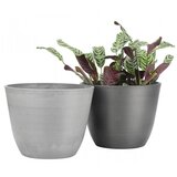 Olimp Sport Velika saksija Mwala | ePonuda.com