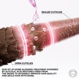 L´Oréal Paris Elseve Glycolic Gloss 5 Minute Lamination obnovitvena nega za sijoče lase 200 ml za ženske | Shoptok.si