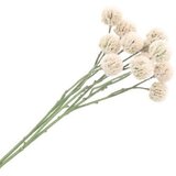 Dekordom Cvet blomi 65cm - ecru - hml ( 039097 ) Cene