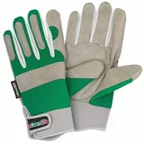 GARDOL Moške vrtne rokavice (velikost: 10/XL, zelene)