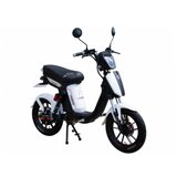 Veneco Eb-fusion beli | ePonuda.com