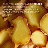 Weleda Energy energetski gel za tuširanje Ginger, Citronella and Cedar 750 ml | shoptok.hr
