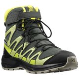 Salomon Visoke superge Xa Pro V8 Winter Mid Cswp J pisana Cene