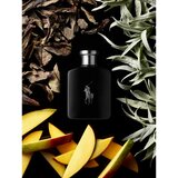 Polo Ralph Lauren Polo Black toaletna voda za moške 40 ml | Shoptok.si