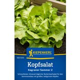 KIEPENKERL Glavnata solata Kagraner Sommer 2 - 1 pkt. Cene