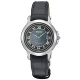 Seiko sxde05p1 Crna Cijene