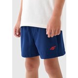 4f Boys' swimming shorts Cijene