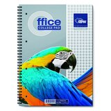 Forpus Zvezek s špiralo A4 mali karo - FO42121 | Shoptok.si