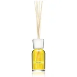 Natural Lemon Grass aroma difuzor s polnilom 100 ml