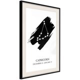 Poster - Zodiac: Capricorn I 30x45 | shoptok.hr