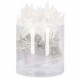 springos set lampica, 50 LED, 5m, bijela boja | shoptok.hr