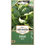  Špinača "Matador" | Shoptok.si
