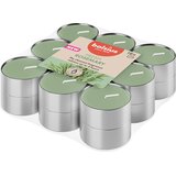 Bolsius Dišeče čajne lučke True Scents 4h (18 kosov) - rožmarin | Shoptok.si